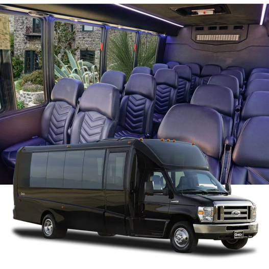 Executive Minibus